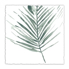 Verdant Impressions II