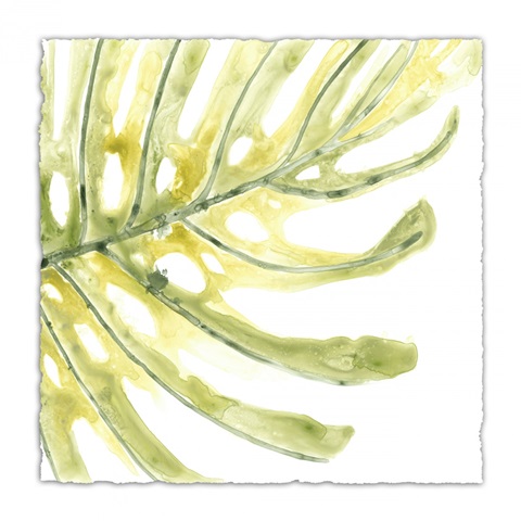 Verdant Impressions IX