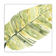 Verdant Impressions V