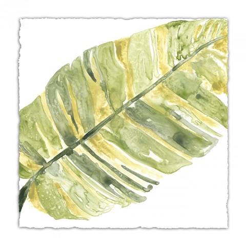 Verdant Impressions V