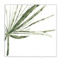 Verdant Impressions VI