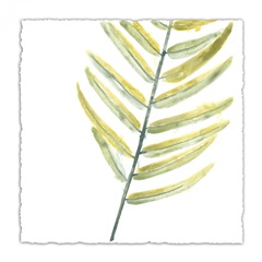 Verdant Impressions VII