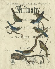 Vintage Ornithology II