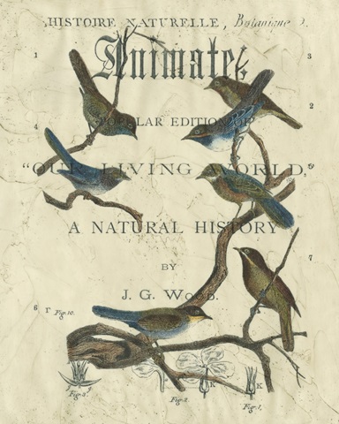 Vintage Ornithology II