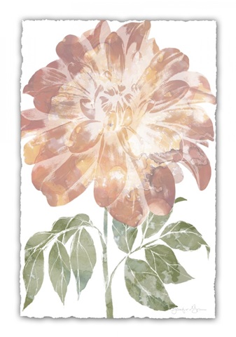Watercolor Bloom II