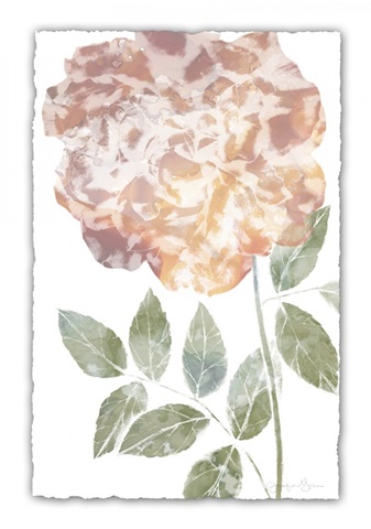 Watercolor Bloom III