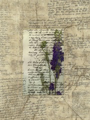 Wildflower Prose I