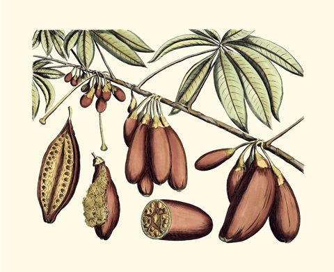 Crackled Van Rheet Botanical III