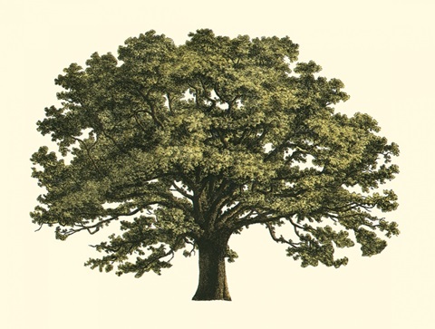 Oversize Elephant Tree