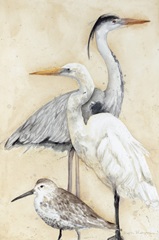 Watercolor Waterbirds I