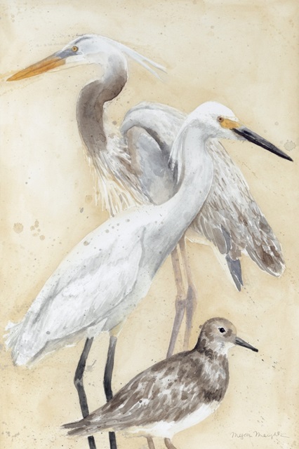 Watercolor Waterbirds II