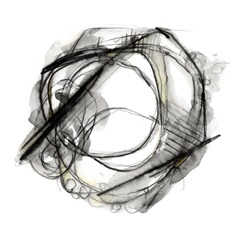 Bumble Bee Flight II