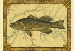 Black Bass on Map