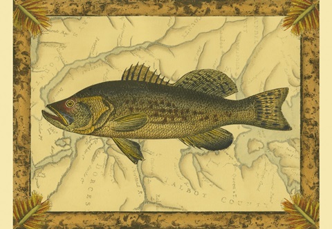 Black Bass on Map