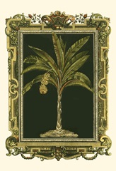 Decorative Framed Palm I