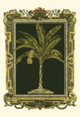Decorative Framed Palm I