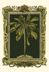 Decorative Framed Palm II