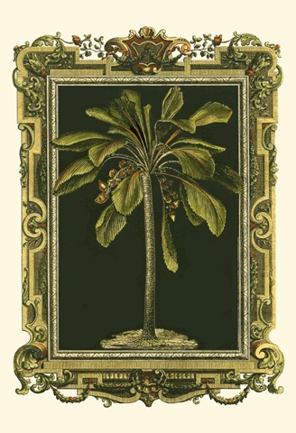 Decorative Framed Palm II