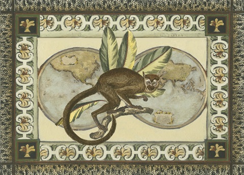 Large Tropical Monkey II