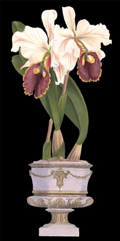 Small Orchids in Silver I