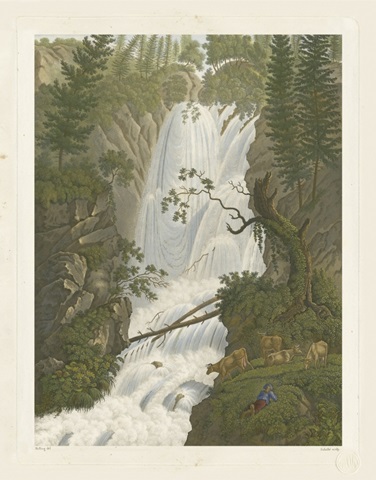 Tranquil Cascade I