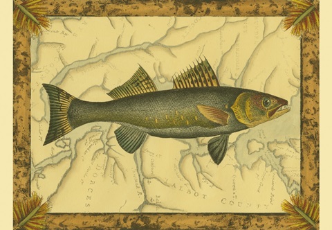 Walleye on Map