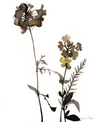 Watermark Wildflowers V