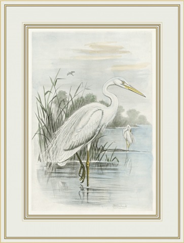 White Heron