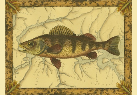 Yellow Perch on Map
