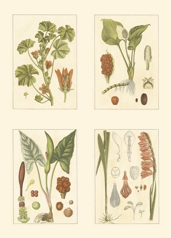 Miniature Botanicals IV