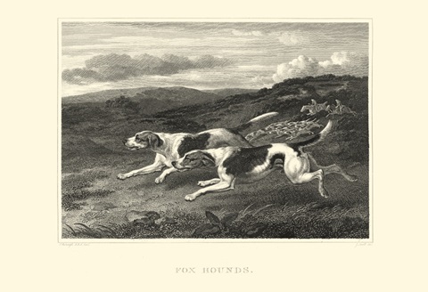 Foxhounds