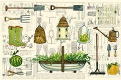 Garden Collection I