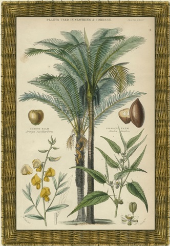 Palm Plate 29 (IP)