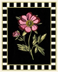 Besler Pink Peony II