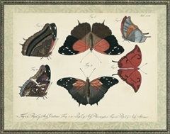 Bookplate Butterflies Trio II
