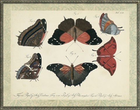 Bookplate Butterflies Trio II