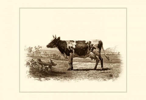 Bovine II