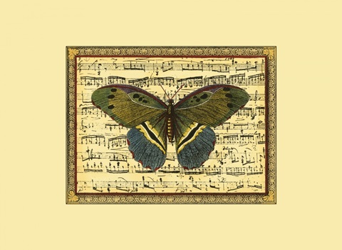 Butterfly Harmony II