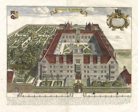 Collegium Wadhamense