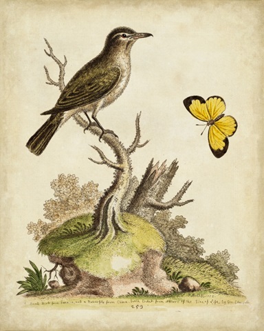 Companions in Nature I