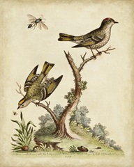 Companions in Nature III