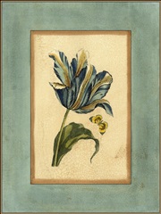 Crackled Spa Blue Tulip II (HL)
