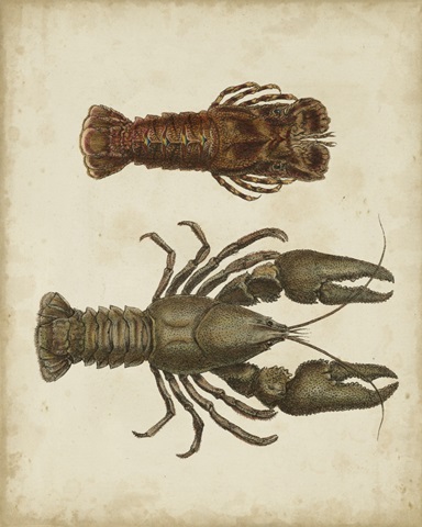 Crustaceans V