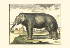Diderot Elephant