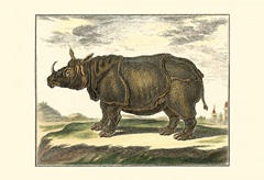 Diderot Rhino