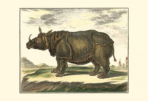 Diderot Rhino