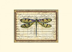 Dragonfly Harmony I