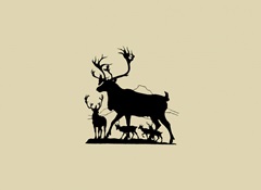 Elk Silhouette IV
