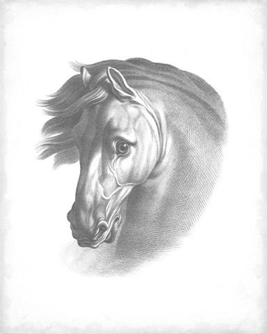 Equestrian Blueprint I