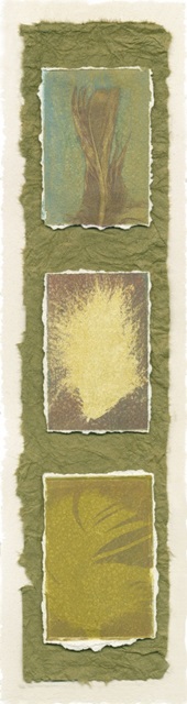 Feather Fossils II Signed on FAP